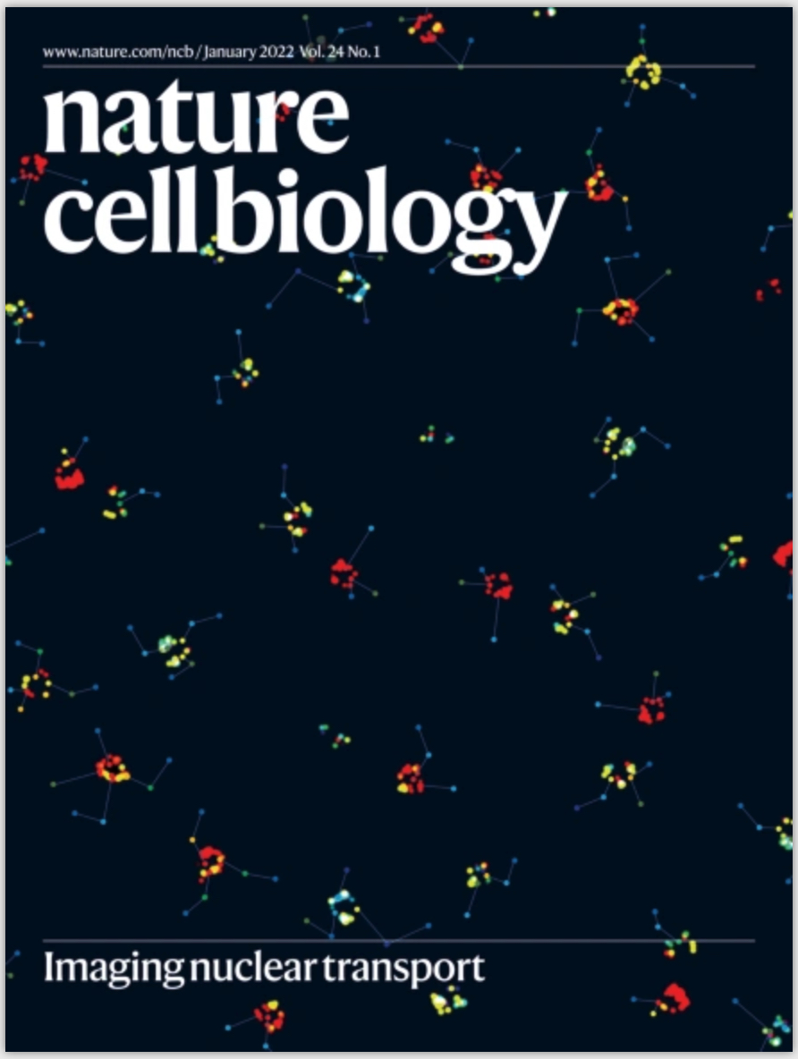 NCB Cover